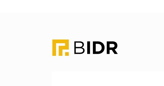 BIDR Token Price Prediction
